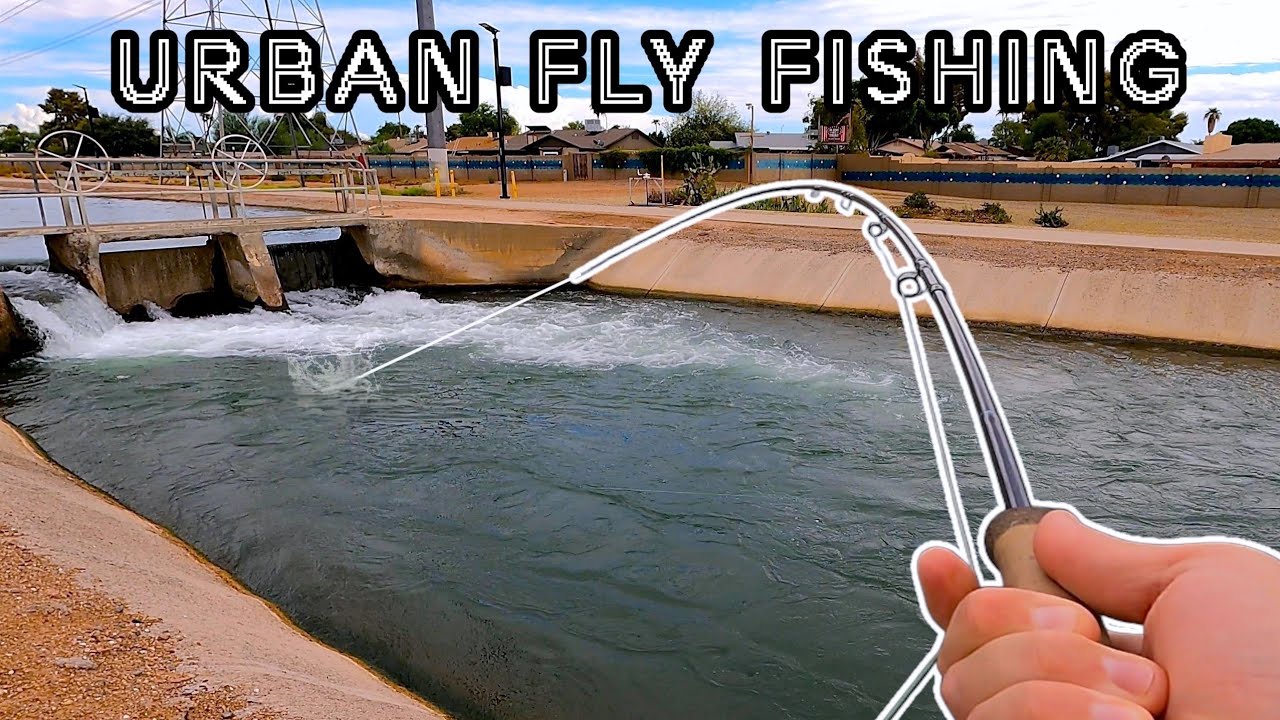 Streamer Fishing City Canals for Largemouth Bass!