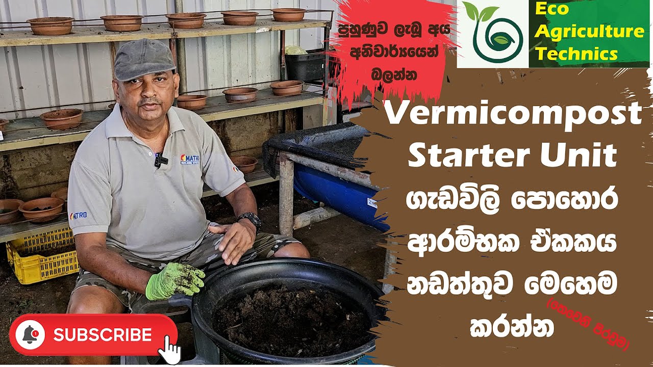 EP 12#ගැඩවිලි පොහොර හදන්න පටන් ගන්න ආරම්භක බදුනට ගැඩවිලි පණුවන්ගේ ආහාර මෙහෙම ලබාදෙන්න.