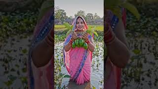 rani fera me tohare lagal Bani 💞💞💥💥💥🎋🎋🎋 #explore #explorepage #song #trending ##viralshort #bhojpu..