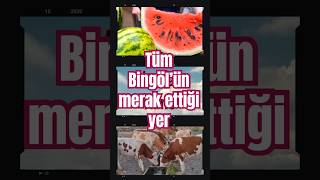 Bingöl Kaniya Xane Simsor Sarıgümüş.