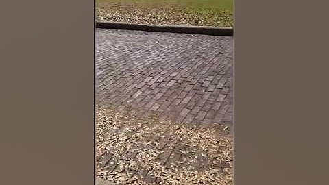 Real World Examples of Area Perimeter 2