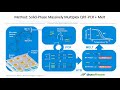 Multiplex PCR Assay Design Made Easy