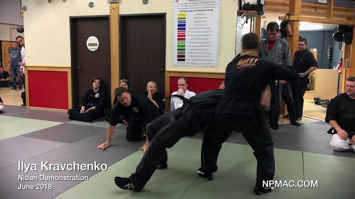 NPMAC   Ilya Kravchenko's Nidan Demo   June 2018