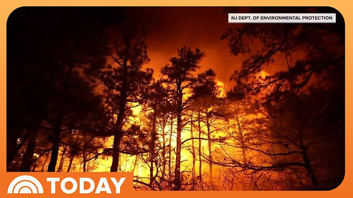 New Jersey wildfire now 50% contained; evacuation orders lifted