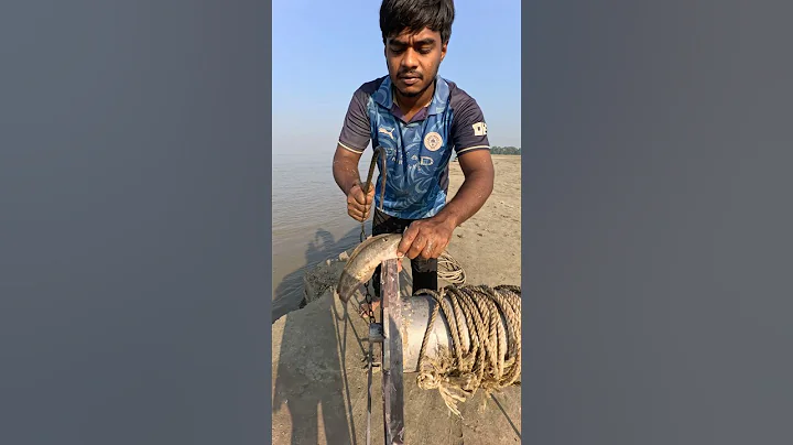 Small catfish bait throwing method by hook with catching monster fish  #fishinglife  #Bait