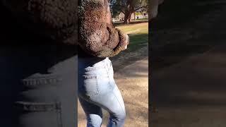 Dirty jeans y’all
