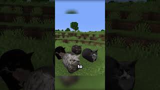 Maxwell the Cat is NOW in Minecraft!