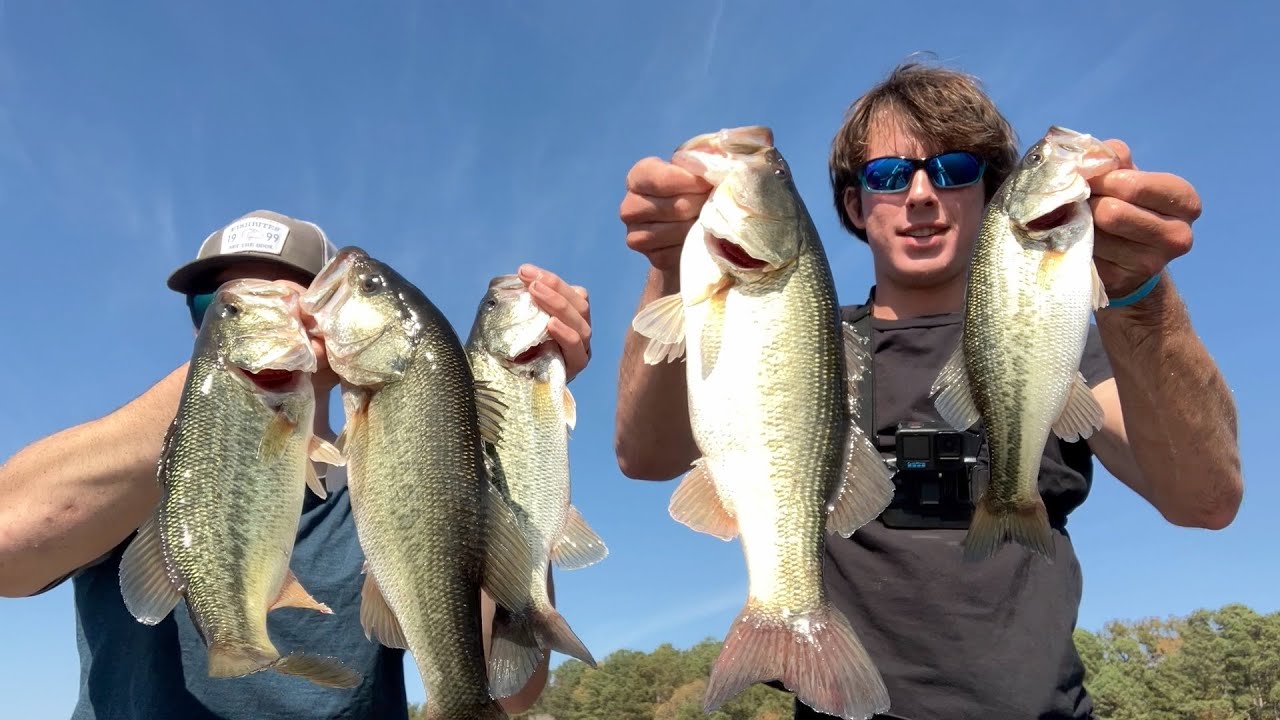 FALL Bass Fishing is HERE!!