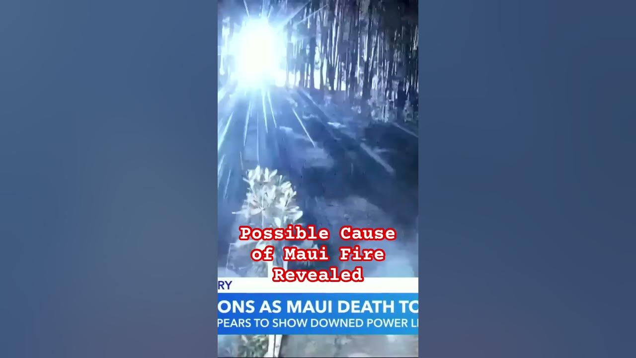 Cause of Maui Fire Revealed shorts fire news hawaii maui 