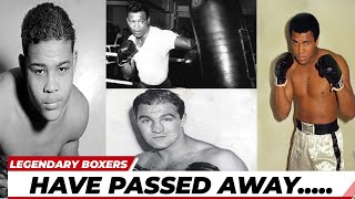 Remembering 30 Legendary Boxers Who Have Passed Away