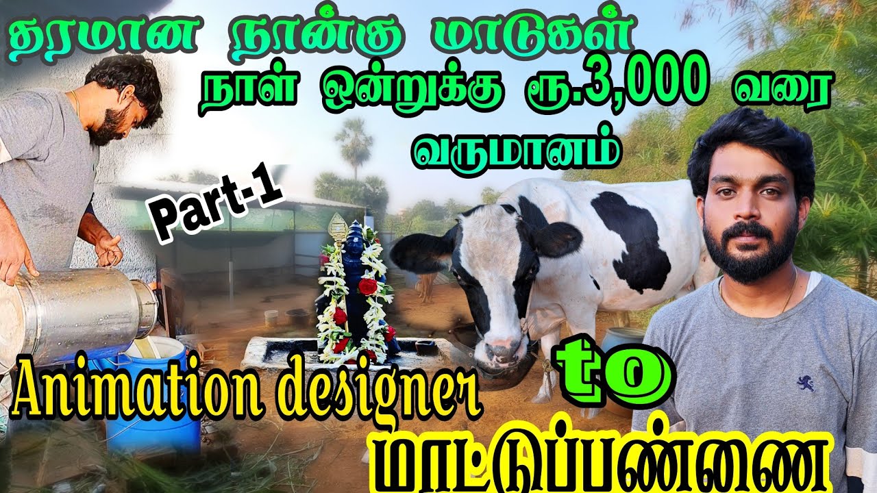 நான்கு கறவை 🐄 மாடுகள் போதும், தனி நபராக மாட்டு பண்ணையில் சாதிக்க! #மாட்டுப்பண்ணை