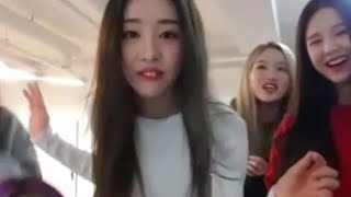 이달의 소녀의 이달의 소녀 따라하기