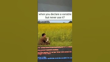 Story of unused Variable #shorts #programmingmemes #codinglife