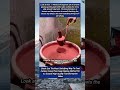 This Amazing Ceramic Glazing And Dipping Process