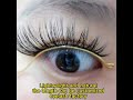 Onlycanas Natural Vegan Faux Thick Band Custom Factory Cheap Eyelashes Wholesale | #eyelashes