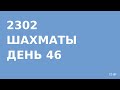 2302 - Шахматы - день 46