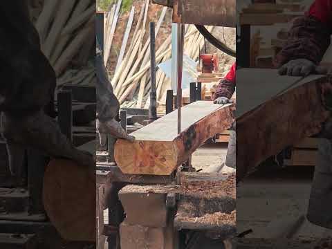 #woodcut #carpentry #woodcuting #cuttingwood #cutting #diy #woodworking #woodtools #furniture