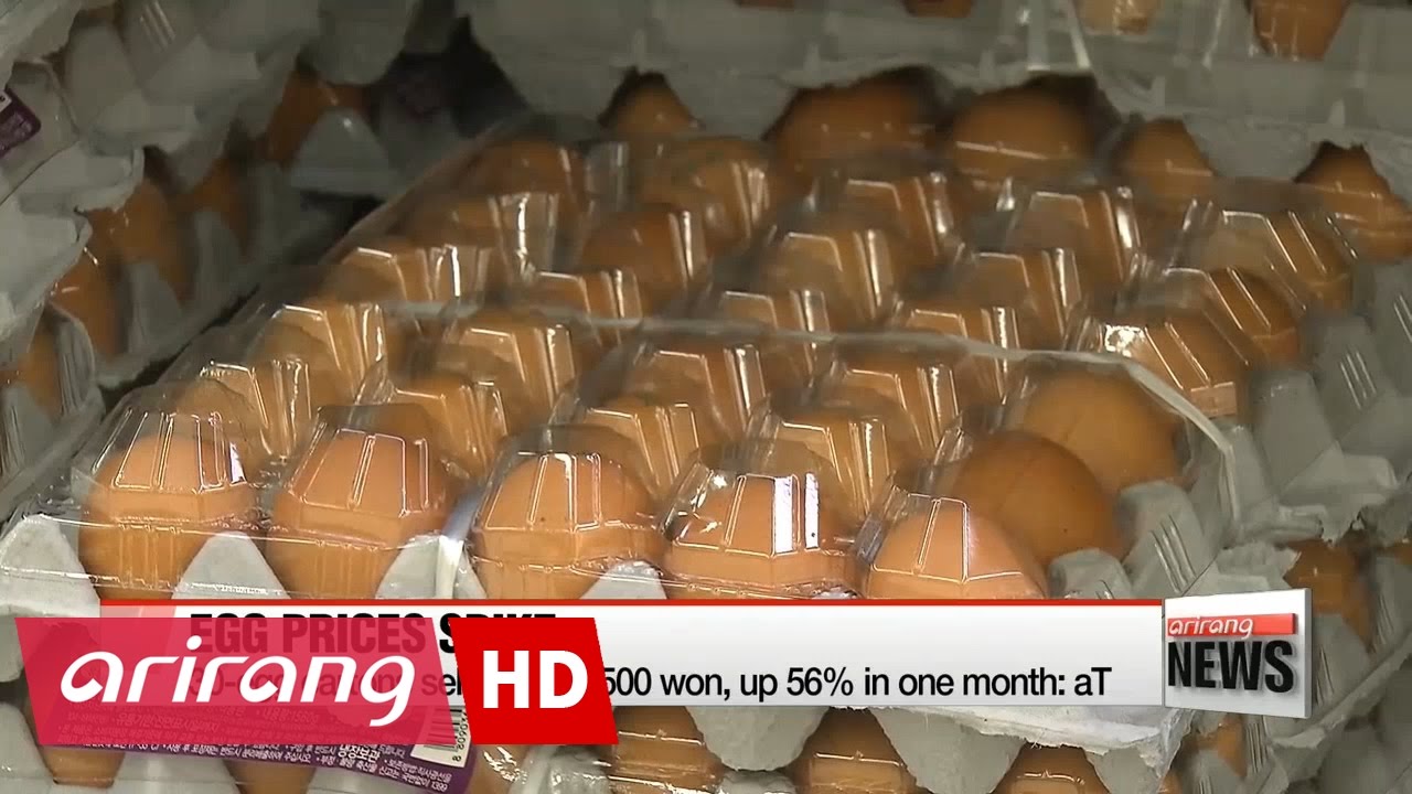 Egg prices soar over 50% amid bird flu outbreak - YouTube
