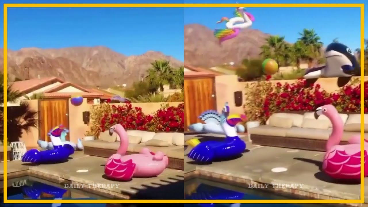 Beyonce's Swimming Pool Party - YouTube