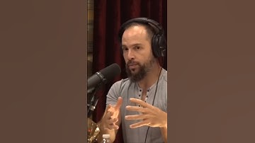 Unlocking Animal Language  How Transformers AI Learns to Explain Jokes