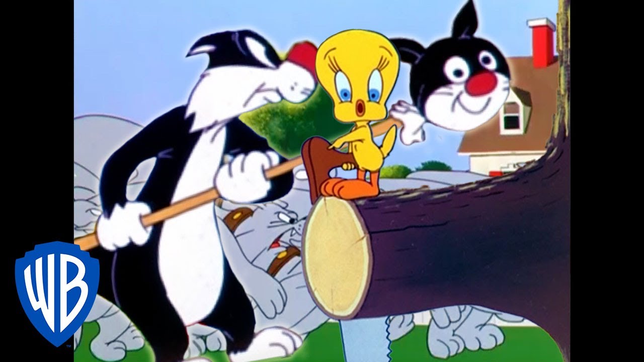 Looney Tunes | Sylvester Tries To Get Through The Guard Dogs | Classic  Cartoon | WB Kids - YouTube