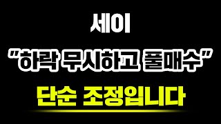 세이&quot;하락 무시하고 풀매수&quot;단순 조정입니다 #세이 #세이네트워크 #SEI