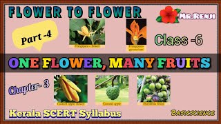 FLOWER TO FLOWER CLASS-6 BASIC SCIENCE  Chapter-3 Part-4