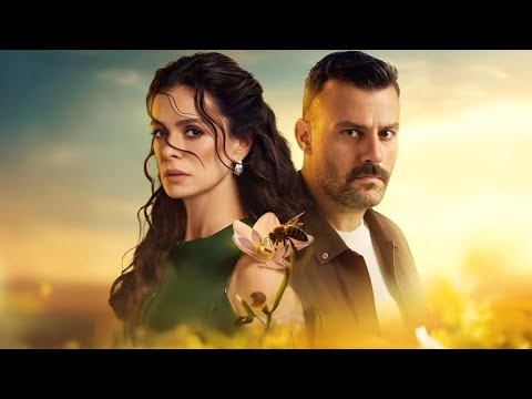 بتعرف إن جوزها تاجر ممنوعات وابنها بيموت على إيد المافيا فبتقرر تنتقم وتجيب حقه ملخص مسلسل المشبوه