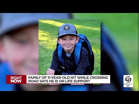 Roy boy in medically-induced coma after being hit by car while crossing ...
