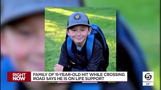 Roy boy in medically-induced coma after being hit by car while crossing street