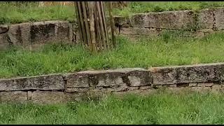 Galicia-zoo de vigo