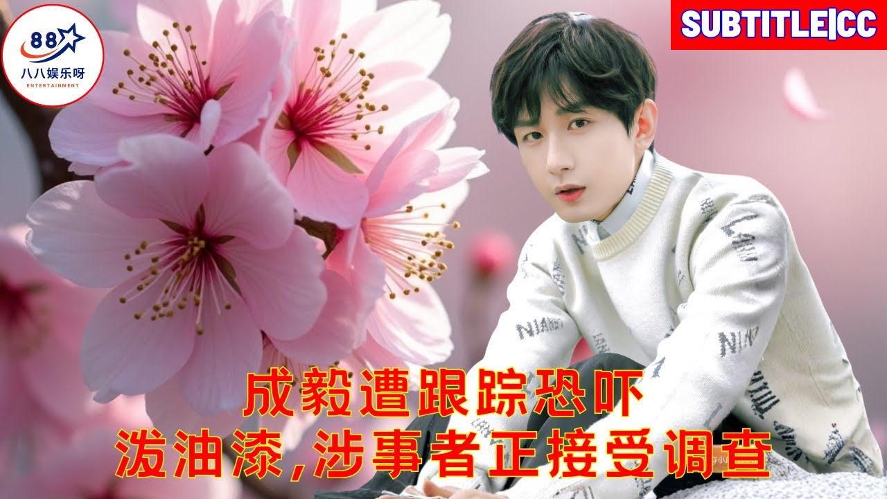 Чэн И преследовали, угрожали и облили краской; в отношении преступника ведется расследование.