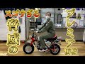 プレミア価格がヤバい！【バイク紹介】モンキー50という小さな名車伝説