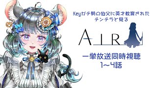 key英才教育を受けたチンチラと一緒に見る　#AIR 1話～4話　#同時視聴 #雑談 #vtuber #key