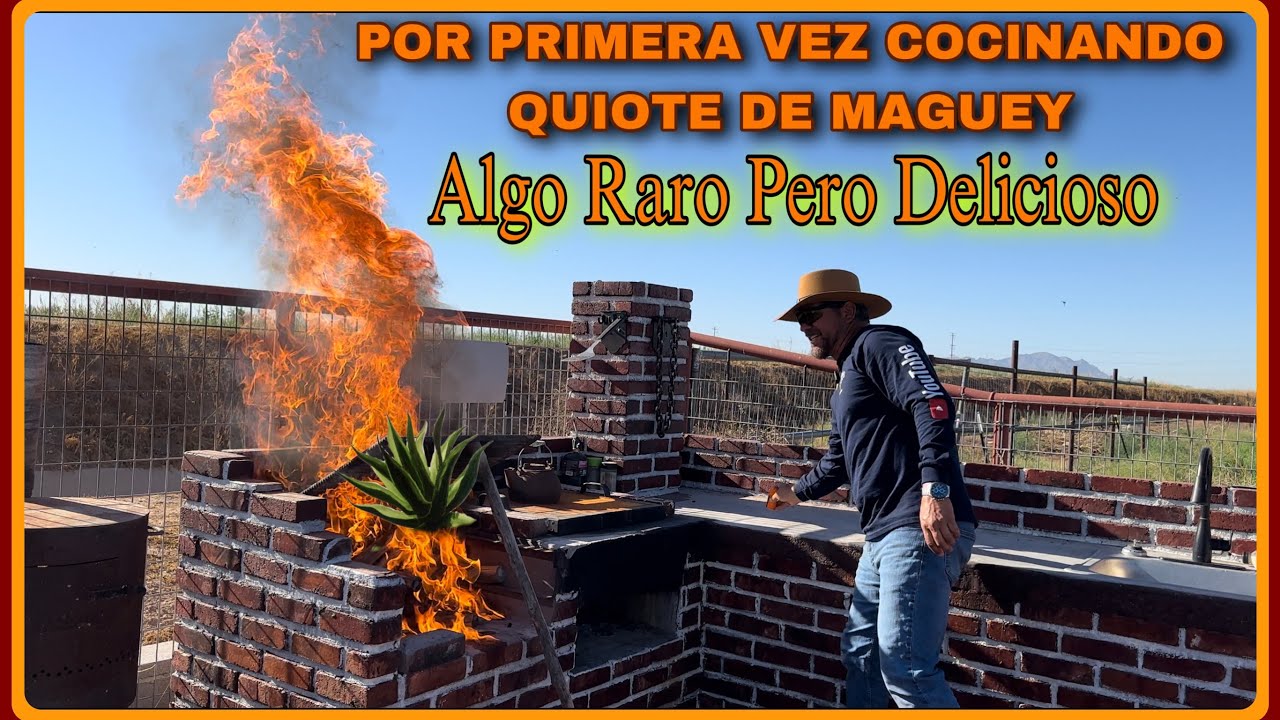 AVENTURA 383 EL QUIOTE RARO Y EXTRAÑO PARA MUCHA GENTE Y PARA OTROS DELO MEJOR TE SORPRENDERÁ