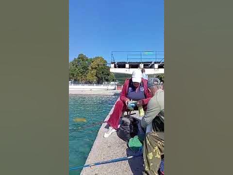 Чёрное море. Рыбалка. #shorts #геленджик #черноеморе - YouTube