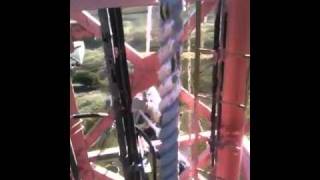 Painting Darvel Mast