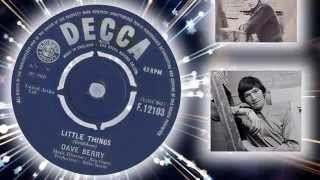 Video thumbnail of "Dave Berry -  Little Things"