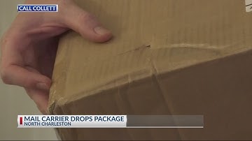 Doorbell camera captures video of mail carrier dropping packages