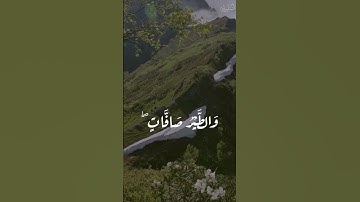 ألم تر أن الله يسبح له من في السماوات والأرض والطير صافات || عبد الباسط عبد الصمد || سورة النور