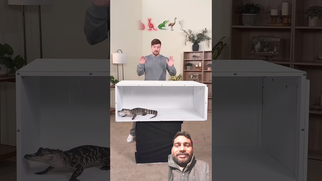 Guess the Animal 🐊🐊 #spotifyclone #mrbeast #viratkholi #taranding2026viral #YouTubeshorts #youtube