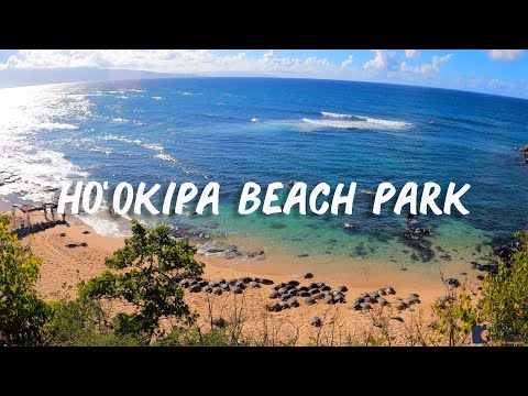 Ho’okipa Beach Park is the Best Place to See Turtles in northern Maui