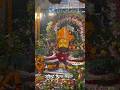 जय श्री श्याम🙏| खाटू श्याम बाबा🙌| आमलकी एकादशी पर्व|#shortvideo #shortsfeed #short #khatushyam #baba