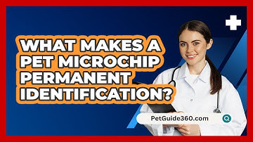 What Makes A Pet Microchip Permanent Identification?