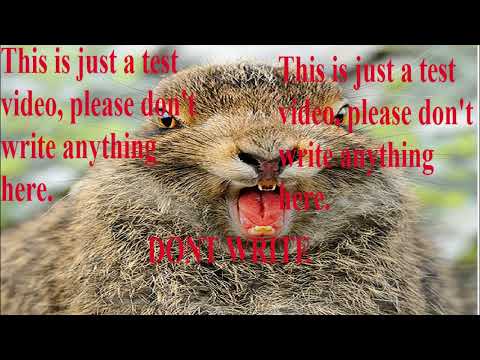TEST VIDEO read the description
