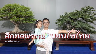 ศึกทศพรรณ บอนไซไทย ? The legend of thai BONSAI