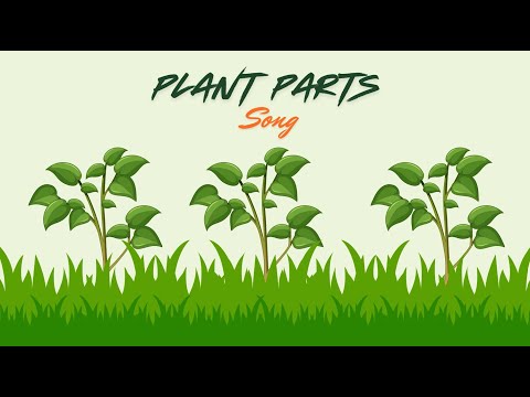 Plant Parts Song The World Around Us Lalalingo Fun Science Song For Kids Esl Learners Plant Parts Song The World Around Us Lalalingo Fun Science Song For Kids Esl Learners
