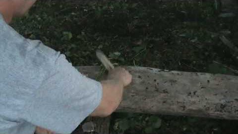 Stinging Nettle Cordage Material