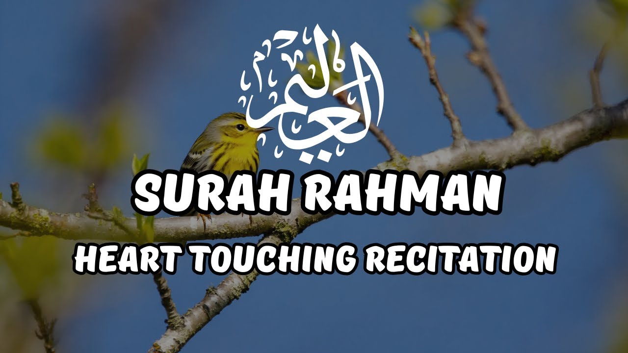 SURAH AR RAHMAN WITH NATURE SOUNDS | PEACEFUL ISLAMIC AUDIO