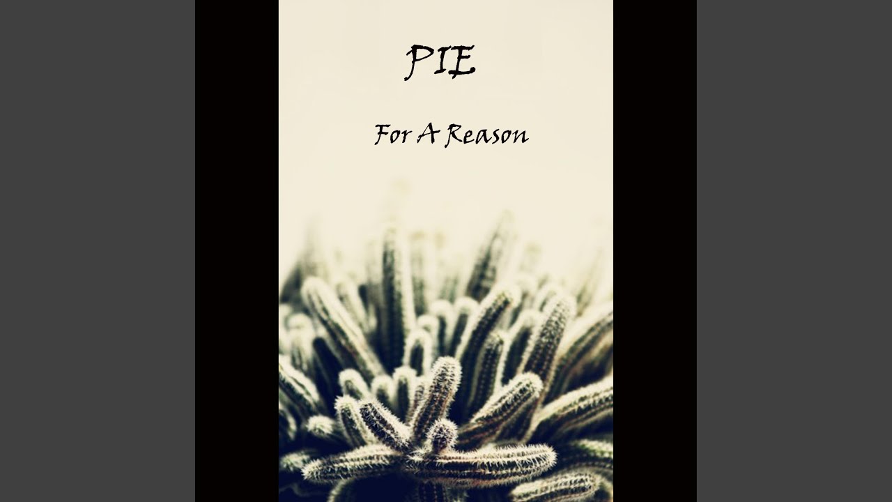 Watch For A Reason on YouTube Watch For A Reason on YouTube